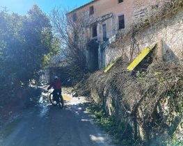 En el Corazon del incendio de los guajares